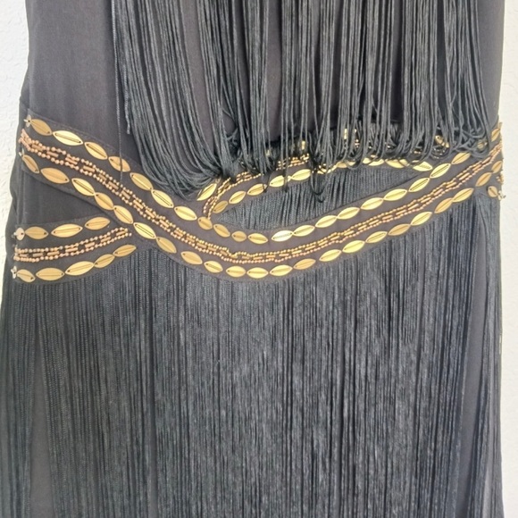 Fringe and beaded drop waist dress - Picture 2 of 5
